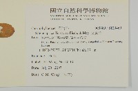 女婁菜藏品圖，第2張