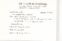 狗娃花藏品圖，第2張