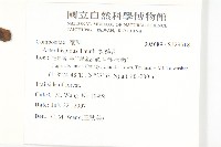 狗娃花藏品圖，第2張