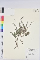 登錄號:S129523藏品圖，第1張