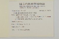 南華南蛇藤，青江藤藏品圖，第2張