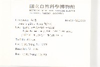 狗娃花藏品圖，第2張