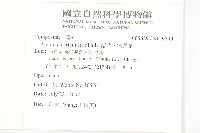 豬草、瘤果菊藏品圖，第2張