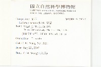 鱧腸藏品圖，第2張