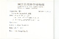 豨薟藏品圖，第2張