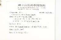 茵蔯蒿藏品圖，第2張