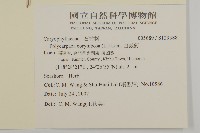 白鼓釘藏品圖，第2張