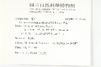 香茹藏品圖，第2張