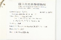 土丁桂藏品圖，第2張