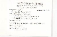 狗娃花藏品圖，第2張