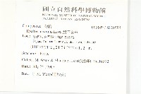 鵝不食草藏品圖，第2張