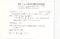 石胡荽、吐金草藏品圖，第2張