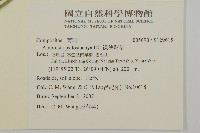 裸穗豬草藏品圖，第2張