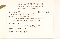 一枝香藏品圖，第2張