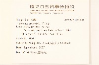 苦苣菜藏品圖，第2張