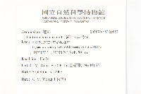 蒼耳、羊帶來藏品圖，第2張