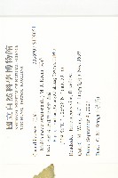 天花藏品圖，第2張