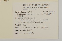 長萼瞿麥藏品圖，第2張