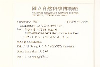 濱剪刀股藏品圖，第2張