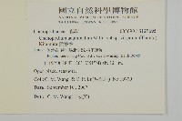 變葉藜藏品圖，第2張