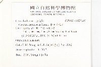 平原菟絲子藏品圖，第2張