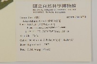 臺灣狗娃花藏品圖，第2張