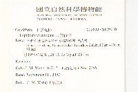 獨行菜藏品圖，第2張