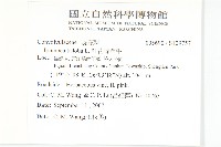 紅花野牽牛藏品圖，第2張