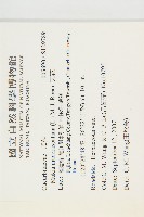 天花藏品圖，第2張