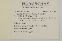 北仲, 刺裸實藏品圖，第2張