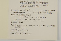 草珊瑚、紅果金粟蘭藏品圖，第2張