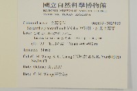 草珊瑚、紅果金粟蘭藏品圖，第2張