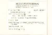 一枝香藏品圖，第2張