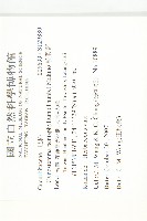 絞股藍藏品圖，第2張