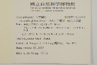 草珊瑚、紅果金粟蘭藏品圖，第2張