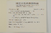 下田菊藏品圖，第2張