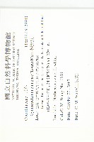 裸瓣瓜藏品圖，第2張