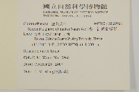 草珊瑚、紅果金粟蘭藏品圖，第2張