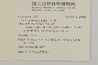 山白蘭藏品圖，第2張