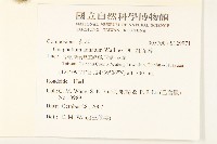 紅面番藏品圖，第2張