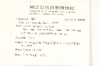 一枝香藏品圖，第2張