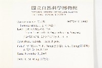 紅花野牽牛藏品圖，第2張