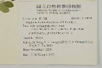 北仲, 刺裸實藏品圖，第2張