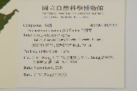 下田菊藏品圖，第2張