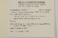 草珊瑚、紅果金粟蘭藏品圖，第2張