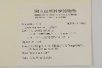 燈豎朽藏品圖，第2張