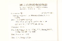 一枝黃花藏品圖，第2張