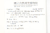 臺灣碎米薺藏品圖，第2張