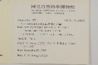 臺灣山白蘭藏品圖，第2張