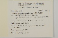 玉山抱莖籟簫藏品圖，第2張